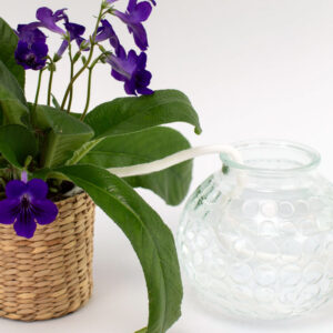 Corde d'arrosage automatique – Arrosez vos plantes en votre absence – Image 8