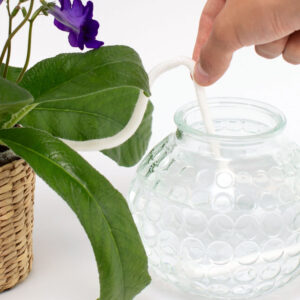Corde d'arrosage automatique – Arrosez vos plantes en votre absence – Image 10