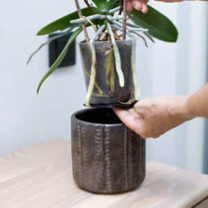 Feutre de drainage pour pots de fleurs – Empêche la terre de s'échapper – Image 6