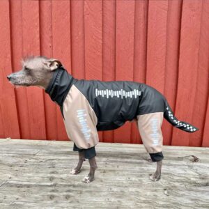 Éléments réfléchissants thermocollants – Jolis réflecteurs à thermocoller sur les vêtements – Image 11